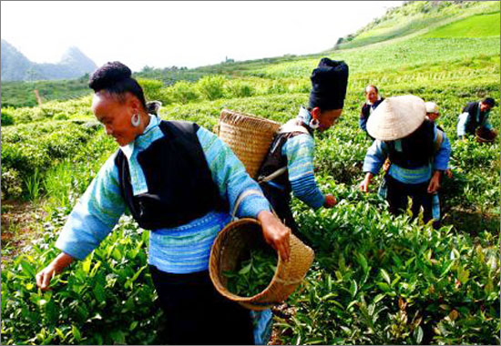 Menschenrechte in Vietnam haben sich verbessert